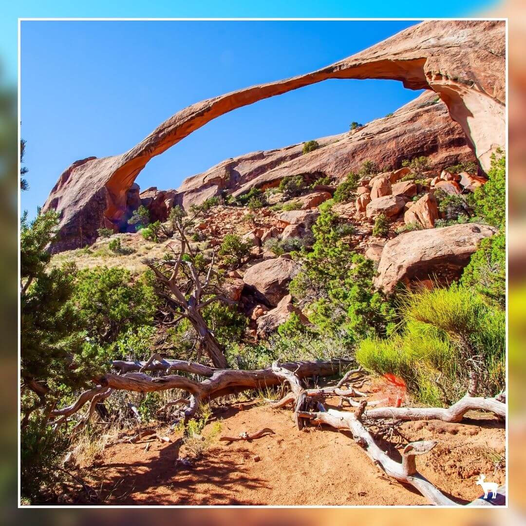 Landscape Arch at at Arches National Park