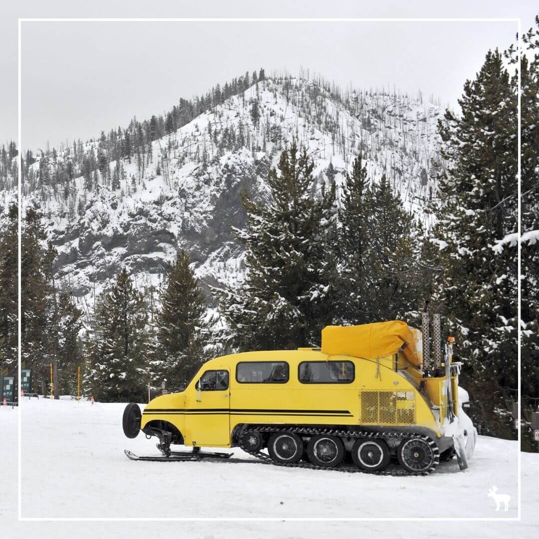 Snow coach in Yellowstone National Park