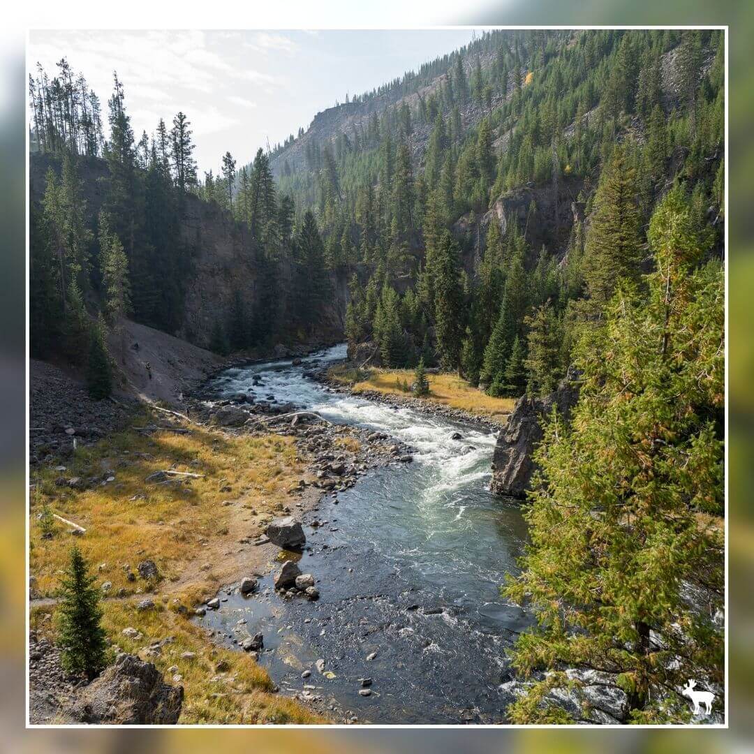 The Firehole River in Yellowstone National Park, as seen on the Firehole River Drive