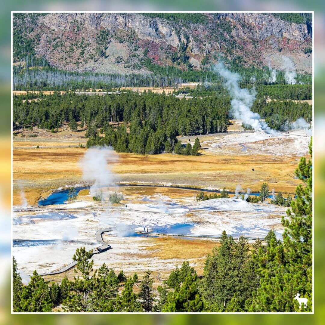 View of Upper Geyser Basin, Yellowstone National Park