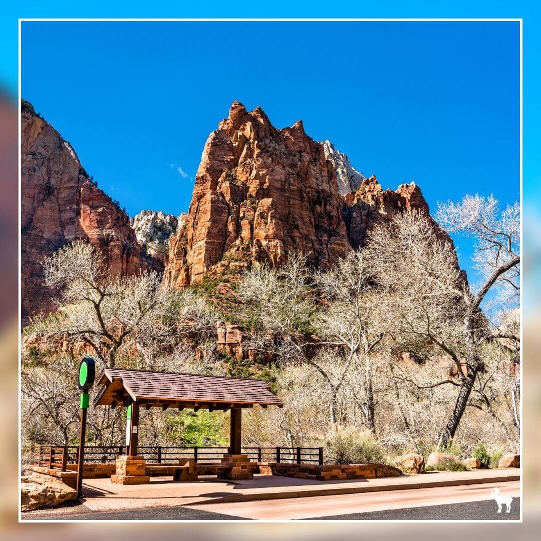 Bus Stop at Zion Canyon Scenic Drive
